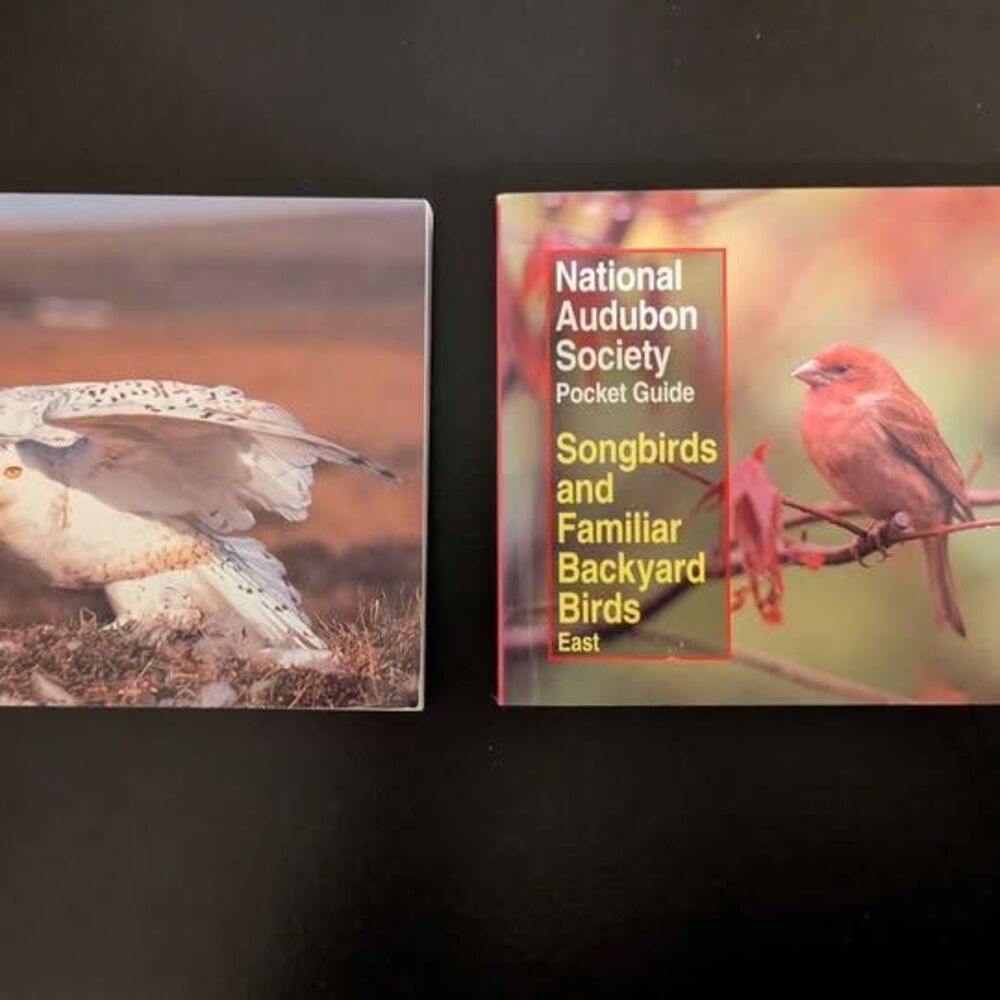 National Audubon Society Pocket Bird Guides ~ sold as Set